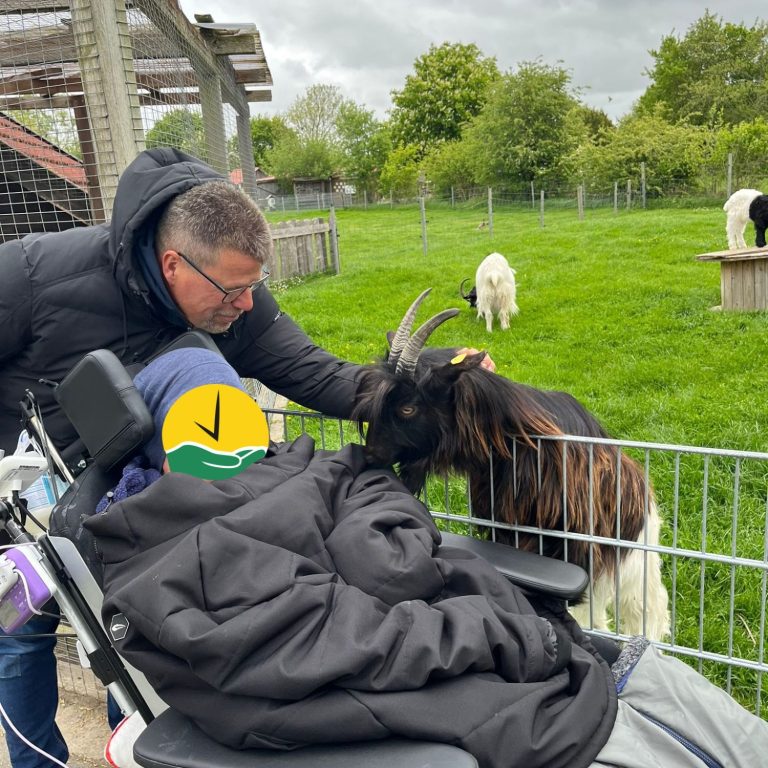 Ein Mann im Rollstuhl besucht mit einer Begleitperson ein Tiergehege.